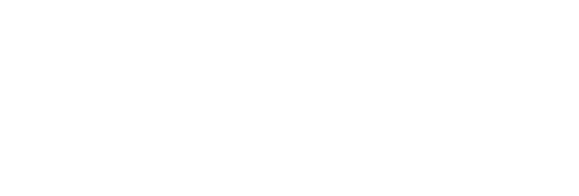 ZIGERO - LOGO biale - RGB